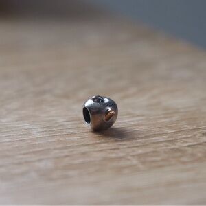 Pandora Apple with Worm Charm